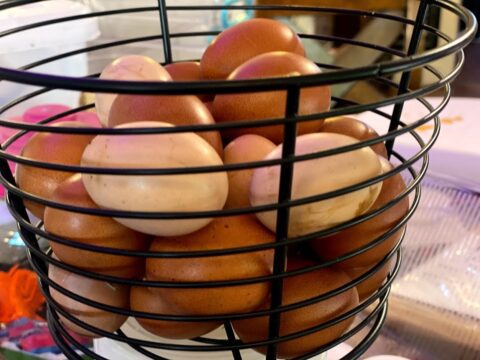 Eggs found hidden