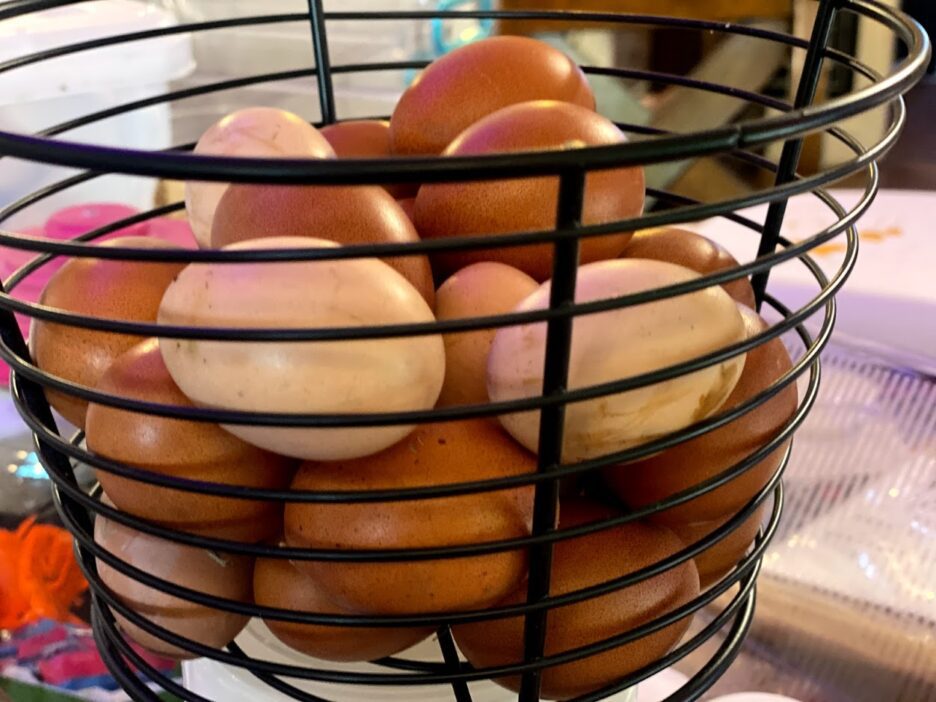 Eggs found hidden