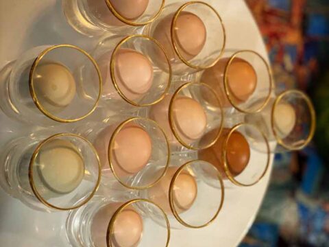 multi colors of eggs