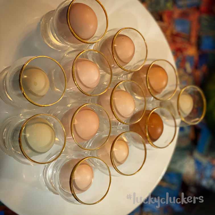 multi colors of eggs