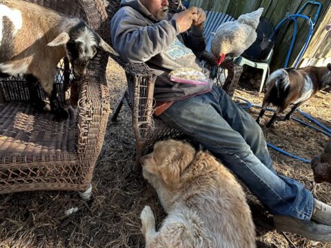 Al Curtis sitting outdoors with a rescue goat, chickens, and Toby the golden retriever at Legendary Acres.