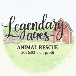 Official logo for Legendary Acres Animal Rescue featuring a watercolor illustration of a red barn and rustic wooden fence.