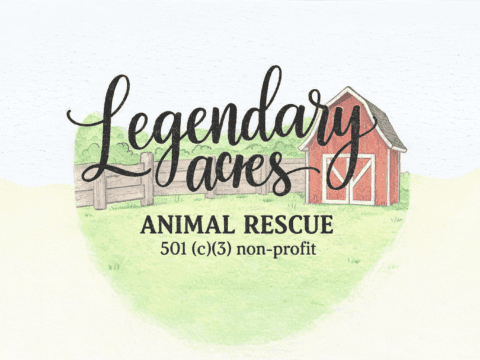 Legendary Acres Animal Rescue is now an official 501(c)(3) Nonprofit Official logo for Legendary Acres Animal Rescue featuring a watercolor illustration of a red barn and rustic wooden fence.