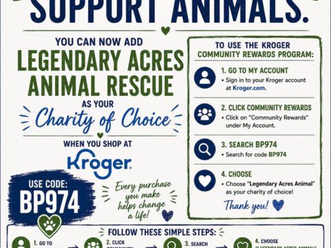 Donate via Kroger Community Rewards | Supports Legendary Acres Rescue Shop with Heart flyer explaining how to link a Kroger card to Legendary Acres Animal Rescue using charity code BP974 for Community Rewards.