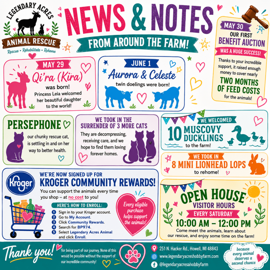 Baby Goats, Rescues & Benefit Success at Legendary Acres Summer newsletter graphic for Legendary Acres Animal Rescue highlighting baby goats, benefit auction success, and visitor hours in Howell Michigan.