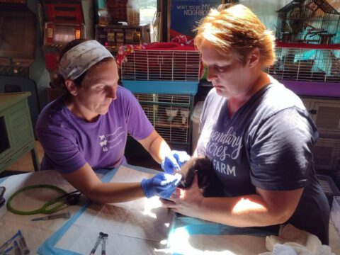 When the Vet Comes to You: A Huge Thanks to Dr. Holahan