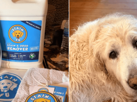 The official stain remover of Legendary Acres – StainFu!