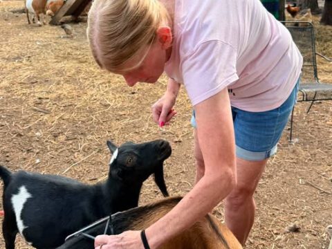 Behind the Scenes: How You Can Join the Legendary Acres Volunteer Team