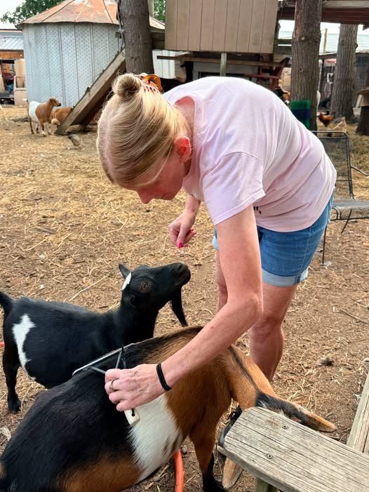 Behind the Scenes: How You Can Join the Legendary Acres Volunteer Team